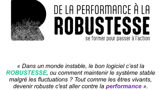 Journée robustesse
